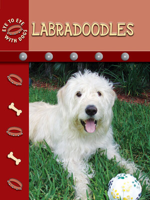 cover image of Labradoodles